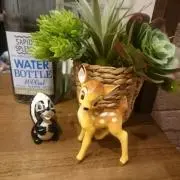 ☆バンビ☆の画像