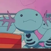 ぽむちーーの画像