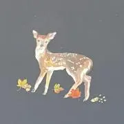Haruの画像