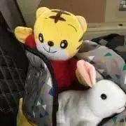nicoの画像