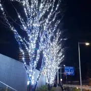 たろう