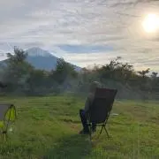 しばにゃんの画像