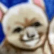 チャンインの画像