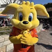 のんの画像