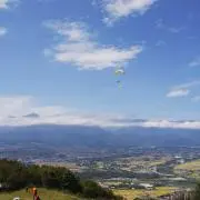 きょんたん