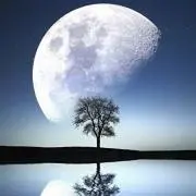 Moon River♬の画像