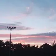 りんの画像