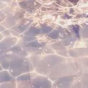 HALの画像