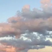 ころの画像