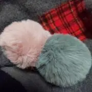 ふわふわさんの画像