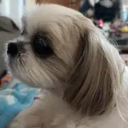 清水の画像