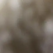 ばう※値下相談可の画像