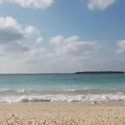 YMまい178の画像