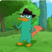 南