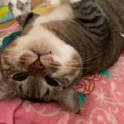 そららいとの画像