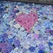 akeの画像