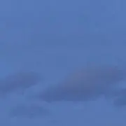 Ayaの画像