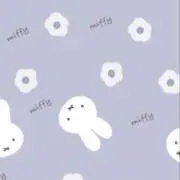 アオの画像