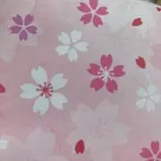 サクラの画像