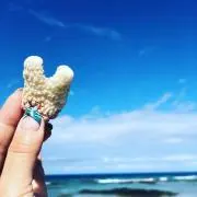 ひめ