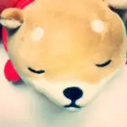 みかりの画像