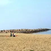 まいちの画像