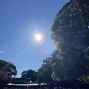 サエの画像