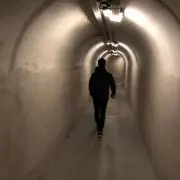 yaの画像