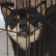 Maka’sの画像