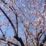 ☆とままん☆