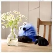 チノの画像