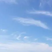 大豆の画像