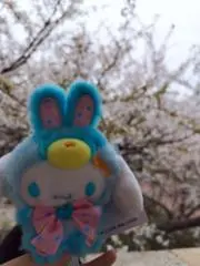 ねる【プロフ必読】の画像