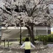 ちゃんMomの画像