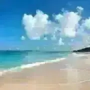 もずくの画像