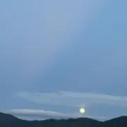 SEIの画像