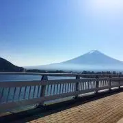 Tomo☆の画像
