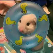 mちゃんの画像