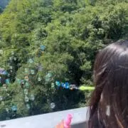 ひこの画像