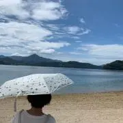 ぽん