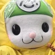 ふうの画像