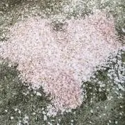 aiyaの画像
