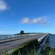 koshiの画像