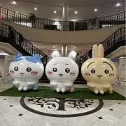 ふゆちゃんの画像