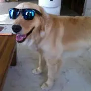 たろ吉
