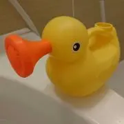 roroの画像