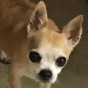 セバスチャンの画像
