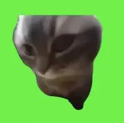 みつ