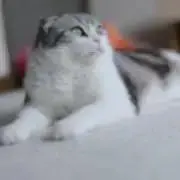 eeemaの画像