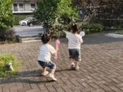 HARUの画像